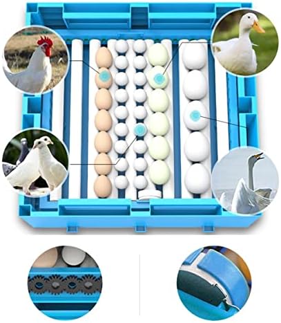 WERTYG Otomatik Sıcaklık Kontrolü Çıkım Otomatik Yumurta Kuşlar Ördek Çiftliği Nem Kontrolü Ekran Acemi için Kolay Kontrol (Boyut: