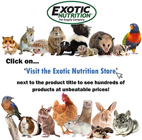 Egzotik Beslenme Kumlu Parça-Turuncu Sessiz Koşucu için 12 Düzenli Dokulu Tırnak Kırpma Parça için Pet Egzersiz Tekerlek