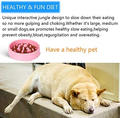 Yavaş Besleyici Köpek Kase Pet Eğlenceli Besleyici Yavaş Besleme Interaktif Bloat Durdurma Köpek Kase, Boğulma Önlenmesi Olmayan