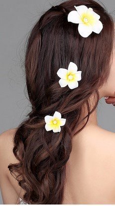 ASTRQLE 12 PCS Pembe 2.36 Çiçek Hawaiian Hawaii Plumeria Köpük Saç Klipler Gelin Düğün Parti Plaj Dekorasyon saç tokası Hairwear