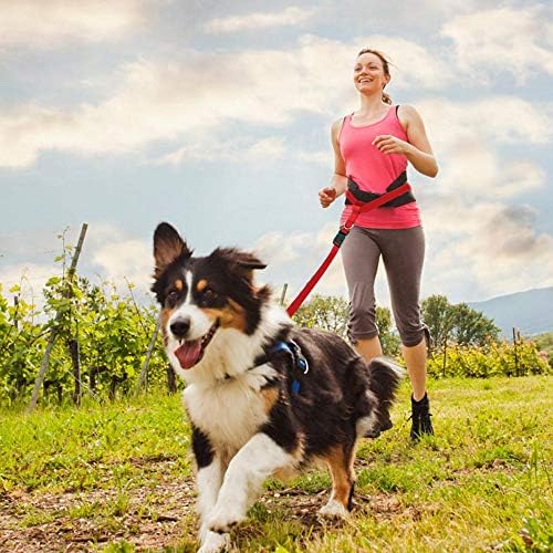 Yisatann Köpek Tasma Geri Çekilebilir Eller Serbest Bel Köpekler Tasmalar Pet Açar Koşu Koşu Yürüyüş için Ayarlanabilir Küçük