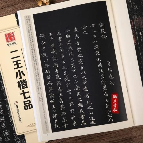 PAYNAN Çin Gelenekler Yetişkin Acemi Kopyalama Küçük Harf Yazma Fırça Kaligrafi Lekelemek