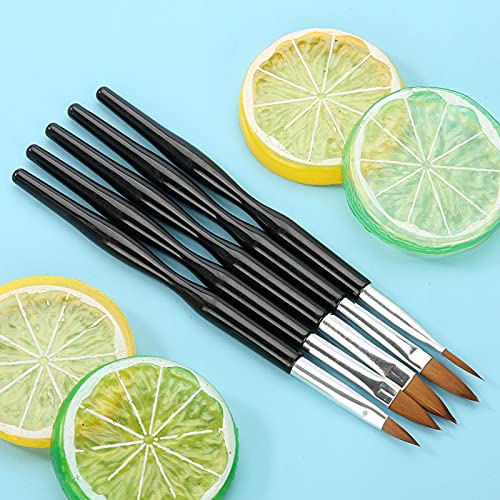 Tırnak Sanat Kalem Fırçası, Plastik Oyma Fırçası, Tırnak Güzelliği için Dayanıklı Profesyonel 5 adet