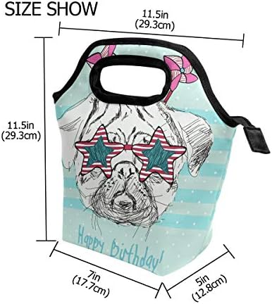 IMOBABY Mutlu Pet Puds Pug Köpek Gözlük Kullanımlık Öğle Yemeği Çantası Çanta Lunchbox Gıda Konteyner Gurme Su Geçirmez Neopren
