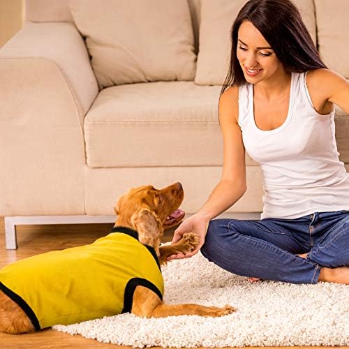 8 Parça Saf Renk Küçük Köpek Gömlek Nefes Pet T Shirt Sevimli Köpek Yelek Elbise Noel Yeni Yıl Tatil Kıyafet için Pet Köpek (M)
