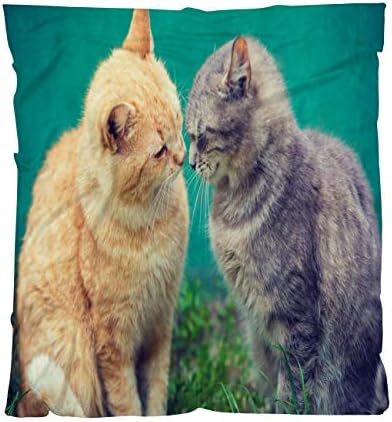 OTTOSUN Güzel Pet Battaniye, Lüks Süper Yumuşak Atmak Battaniye, iki Kediler Birbirlerine Koklama Açık, hafif Sıcak Battaniye