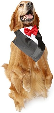 NACOCO Düğün Smokin Büyük Köpek Bandana Eşarp Ayarlanabilir Kedi Yaka Atkısı Pet Elbise-up Elbise için Düğün Parti veya Cadılar