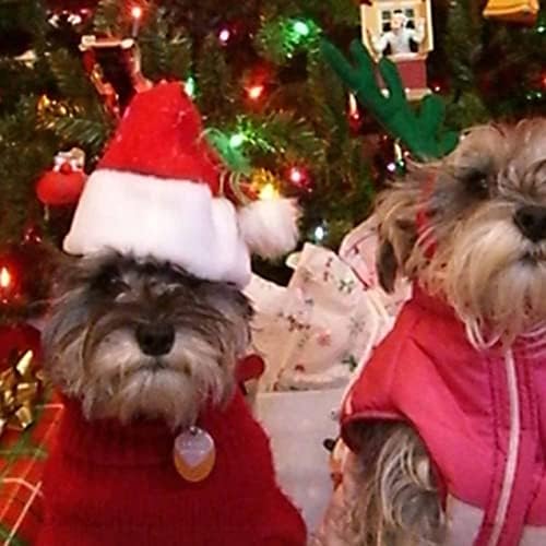 XıngcM Köpek Kedi Pet Noel Festivali Giyinmek Kırmızı Ayarlanabilir Şapka evcil hayvan Aksesuarları Köpekler ıçin Kapaklar Noel