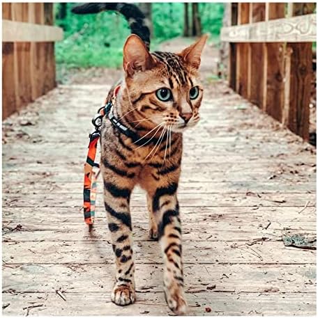 GAOJİA Kedi Koşum ve Tasma, Yavru Koşum, Ayarlanabilir Yürüyüş Seyahat evcil hayvan tasması, Büyük, Orta ve Küçük Kediler için