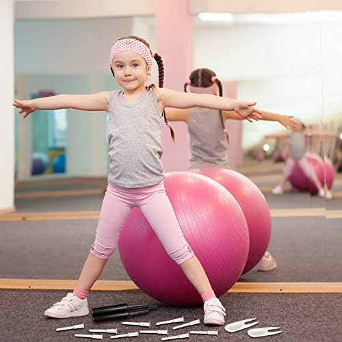 Egzersiz Topu El Pompası Spor Yoga Topu Hava Pompası Topu Şişirme Pompası ile 2 Parça Egzersiz Topu Fiş Sökücüler ve 10 Parça